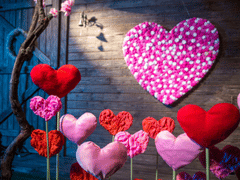 Birthday Balloon Decoration Services Near Me, Birthday Decoration, Ring Ceremony, Anniversary Decoration, Welcome Baby Decoration, Baby Shower Decoration, Engagement Ceremony, Ballon Decoration Services For All Occasion
